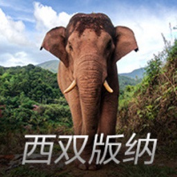 今天是亚马奎🤣马奎尔：过人传中感觉真棒 我们半只脚进决赛了